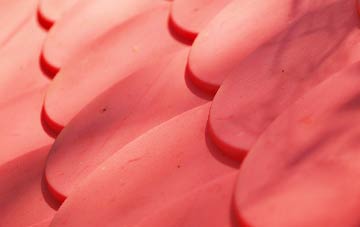 Denston plastic roof costs