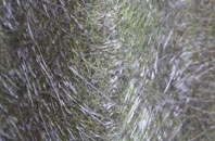 Denston fibreglass roof work